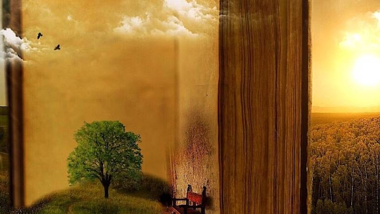 Bioenergie im Alltag