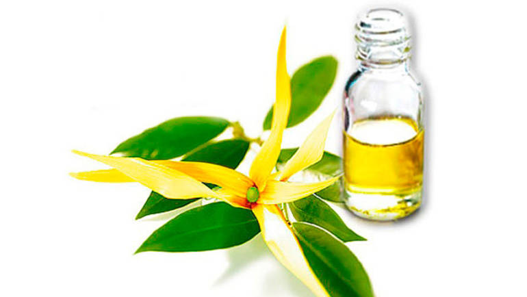 Ylang-Ylang-Öl